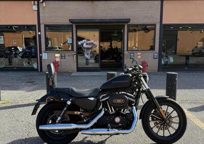 Harley-Davidson 883 Iron (2009 - 11) - XL 883N - Annuncio 9782249