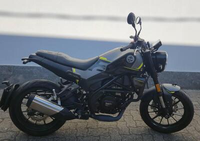 Benelli Leoncino 250 (2021 - 25) - Annuncio 9783010