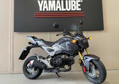 Honda MSX 125 (2018 - 20) - Annuncio 9783468