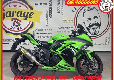 Kawasaki Ninja 300 ABS (2012 - 16) - Annuncio 9784490