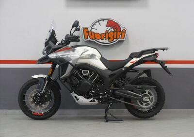 Morbidelli T1002VX (2024 - 25) - Annuncio 9784853