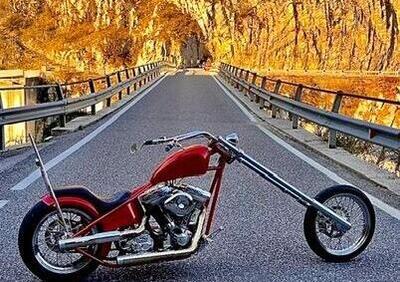 Harley-Davidson 1340 Custom (1989 - 98) - Annuncio 9789816