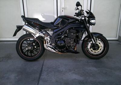 Triumph Speed Triple 1050 SE 15th Anniversary (2009 -10) - Annuncio 9790190