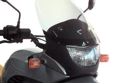 GIVI D234S Cupolino specifico fumè 41 x 34 cm - Annuncio 9592883
