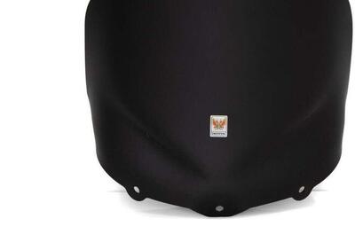 Cupolino Isotta Double Bubble Yamaha X-MAX 125-250 - Annuncio 9426171