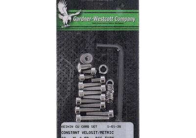 Kit completo bulloni acciaio per carburatore Keihi  - Annuncio 9792663