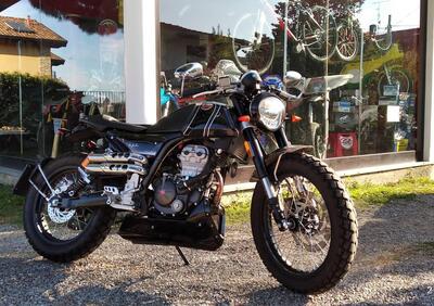 FB Mondial HPS 125 Limited Edition (2018 - 19) - Annuncio 9793611