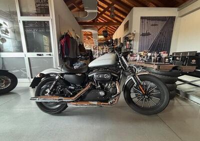 Harley-Davidson 883 Iron (2009 - 11) - XL 883N - Annuncio 9795472