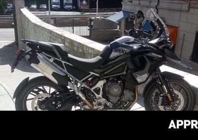 Triumph Tiger 1200 GT Pro (2024 - 25) - Annuncio 9796360