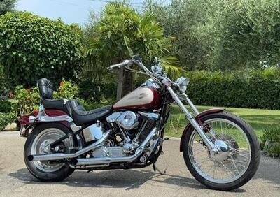 Harley-Davidson FXSTC 1340 - Annuncio 9797927