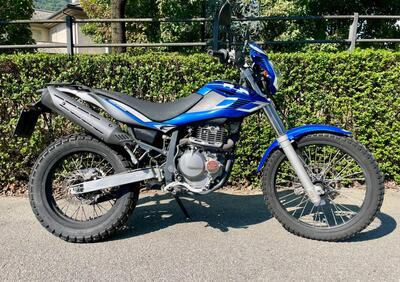 Betamotor Alp 4.0 (2008 - 17) - Annuncio 9799476