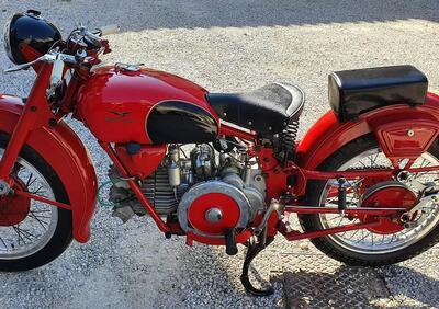 Moto Guzzi FALCONE SPORT - Annuncio 9800831