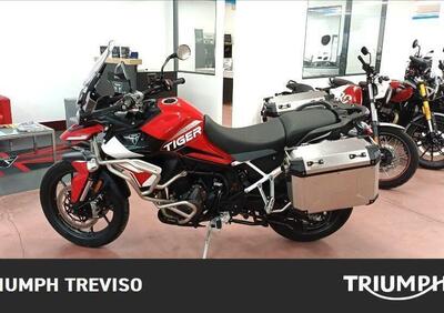 Triumph Tiger 900 GT Aragón Edition (2023 - 24) - Annuncio 9801138