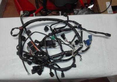 Impianto elettrico Suzuki Bandit 650 - Annuncio 9802630
