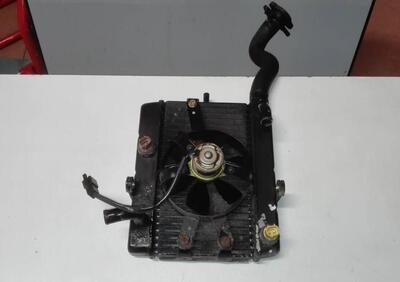 Radiatore Yamaha Majesty 250 - Annuncio 9802869