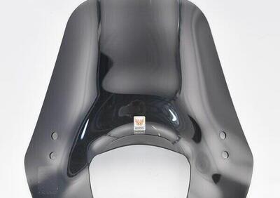 Cupolino Isotta Per Piaggio Liberty 50-125-150 RST - Annuncio 9426559