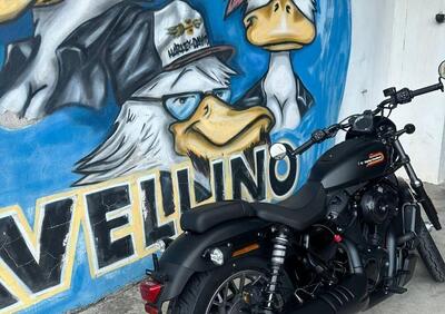 Harley-Davidson Nightster Special (2023 - 25) - Annuncio 9804501