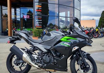 Kawasaki Ninja 500 (2024 - 25) - Annuncio 9803500