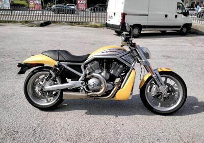 Harley-Davidson 1130 V-Rod (2002 - 05) - VRSCA - Annuncio 9805522