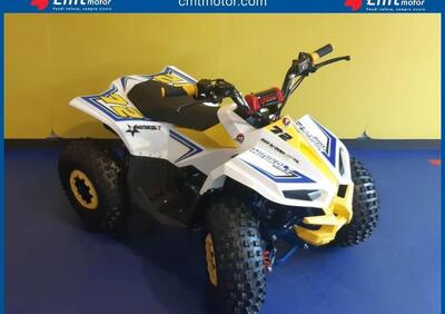  Altre moto o tipologie Quad - Annuncio 8988784