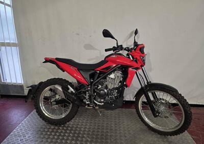 Betamotor Alp 4.0 (2024 - 25) - Annuncio 9807973