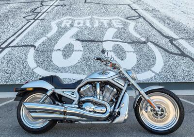 Harley-Davidson 1130 V-Rod (2002 - 05) - VRSCA - Annuncio 9808551