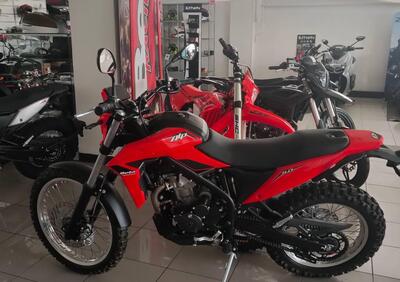 Betamotor Alp 4.0 (2024 - 25) - Annuncio 9809543