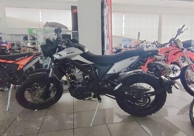 Betamotor Alp X (2024 - 25) - Annuncio 9809544