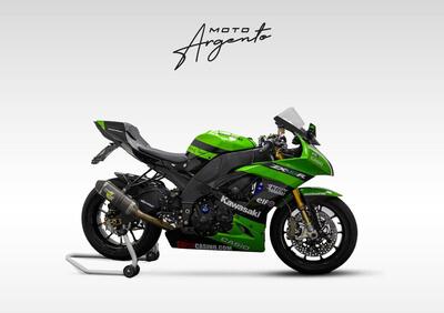 Kawasaki Ninja 1000 ZX-10R (2008 - 09) - Annuncio 9813223