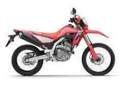 Honda CRF 300 L (2025) - Annuncio 9814342