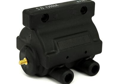 Bobina 5 Ohm per FL e FX dal 65 al 79 rif OEM 3160  - Annuncio 9814614