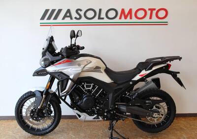 Morbidelli T1002VX (2024 - 25) - Annuncio 9781719