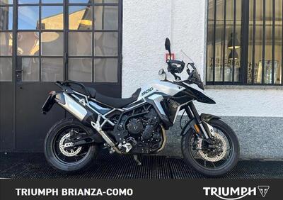 Triumph Tiger 900 GT (2024 - 25) - Annuncio 9817051
