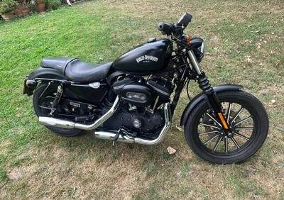 Harley-Davidson 883 Iron (2009 - 11) - XL 883N - Annuncio 9817212