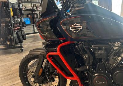 Harley-Davidson CVO Pan America (2025) - Annuncio 9818132