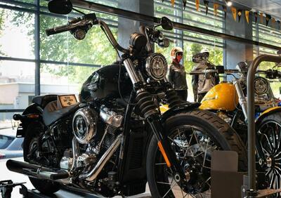 Harley-Davidson Street Bob 117 (2025) - Annuncio 9818667