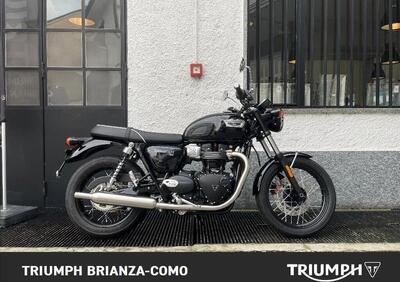 Triumph Bonneville T100 (2021 - 25) - Annuncio 9819133