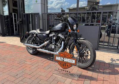 Harley-Davidson 883 Iron (2012 - 14) - XL 883N - Annuncio 9820021