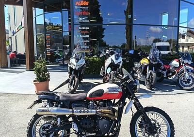 Triumph Scrambler 900 (2023 - 25) - Annuncio 9821103