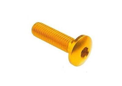 Vite Lightech M6 x 20 Ergal Oro Testa Bombata - Annuncio 9723215
