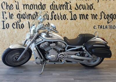 Harley-Davidson 1130 V-Rod (2002 - 05) - VRSCA - Annuncio 9821566