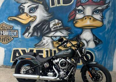 Harley-Davidson Street Bob 117 (2025) - Annuncio 9823001