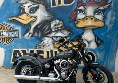 Harley-Davidson Street Bob 117 (2025) - Annuncio 9823031