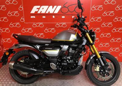 TVS Motor Ronin 250 (2024 - 25) - Annuncio 9824947