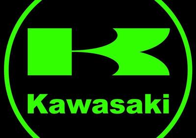 Kawasaki Z 750 (2007 - 14) - Annuncio 9829436