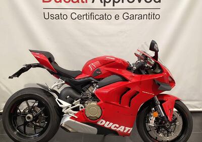 Ducati Panigale V4 1100 (2021) - Annuncio 9829707