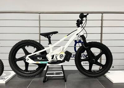 Husqvarna EE 1.20 (2023 - 24) - Annuncio 9830200