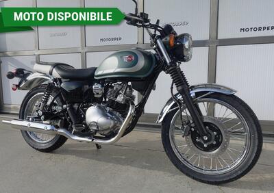 Kawasaki W 230 (2025 - 26) - Annuncio 9783211