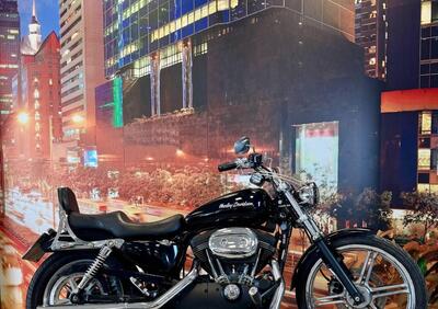 Harley-Davidson 883 Custom (2001 - 05) - XL 53C - Annuncio 9832351
