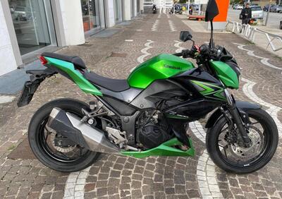 Kawasaki Z 300 (2015) - Annuncio 9834054